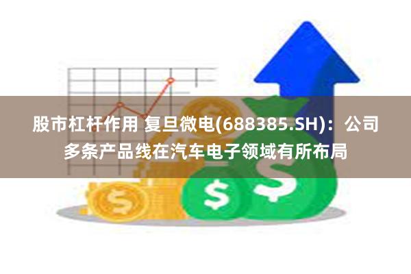 股市杠杆作用 复旦微电(688385.SH)：公司多条产品线在汽车电子领域有所布局