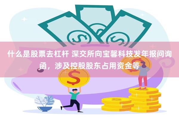 什么是股票去杠杆 深交所向宝馨科技发年报问询函，涉及控股股东占用资金等