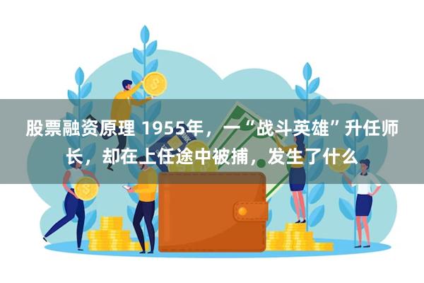 股票融资原理 1955年，一“战斗英雄”升任师长，却在上任途中被捕，发生了什么
