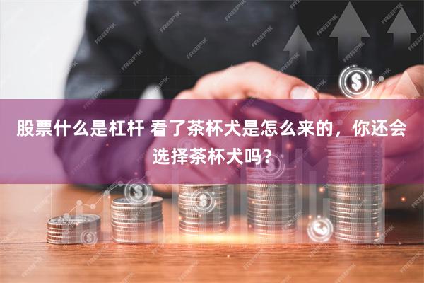 股票什么是杠杆 看了茶杯犬是怎么来的，你还会选择茶杯犬吗？
