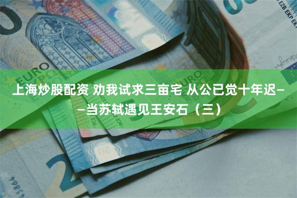 上海炒股配资 劝我试求三亩宅 从公已觉十年迟——当苏轼遇见王安石（三）