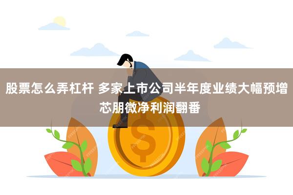 股票怎么弄杠杆 多家上市公司半年度业绩大幅预增  芯朋微净利润翻番