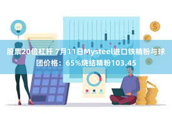 股票20倍杠杆 7月11日Mysteel进口铁精粉与球团价格：65%烧结精粉103.45