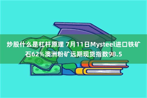 炒股什么是杠杆原理 7月11日Mysteel进口铁矿石62%澳洲粉矿远期现货指数98.5