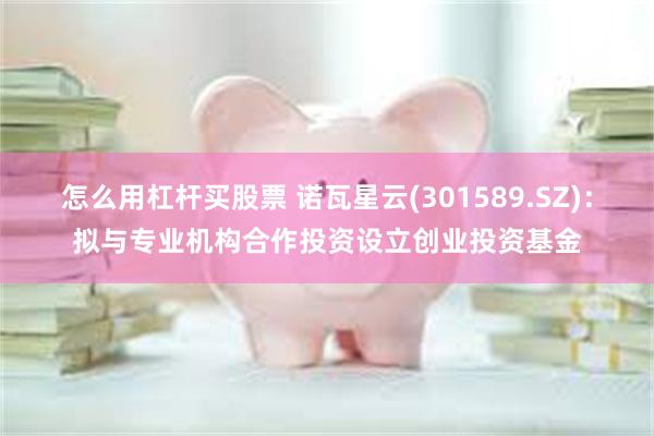 怎么用杠杆买股票 诺瓦星云(301589.SZ)：拟与专业机构合作投资设立创业投资基金
