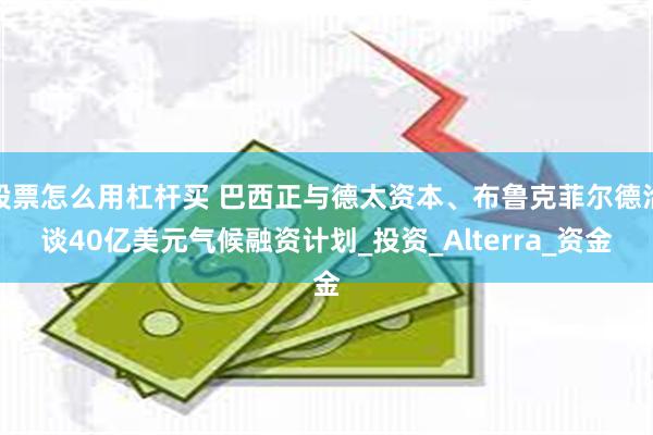 股票怎么用杠杆买 巴西正与德太资本、布鲁克菲尔德洽谈40亿美元气候融资计划_投资_Alterra_资金