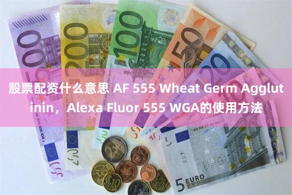 股票配资什么意思 AF 555 Wheat Germ Agglutinin，Alexa Fluor 555 WGA的使用方法